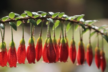 肇庆端州区7私人快速借钱网，轻松解决资金难题